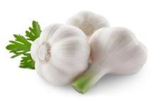 Chinese Snow White Garlic with High Quality