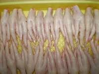  Chicken  Leg  Chicken   Feet  Processed