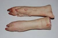Frozen Pork Feet