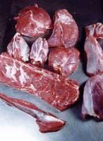 Halal Beef Meat & Special Cuts for Sale (Topside,Silverside,Knuckle,Rump,Tenderloin )