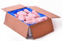 Chicken Breast Fillet