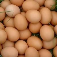 Farm Fresh White Eggs, Farm Fresh Brown Eggs, Chicken Eggs