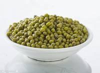 Sprouting Type New Crop Mung Bean in Top Quality and Low Price - Size 3.0mm-4.6mm Green Mung Beans