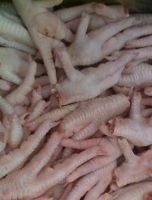 Halal Frozen Chicken Feet, Paws, Breast, Whole Chicken, Legs and Wings