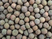 Chinese Ma Peas small size