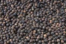 High Quality black pepper
