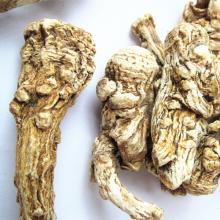 100% purity danggui  Angelica   Root 