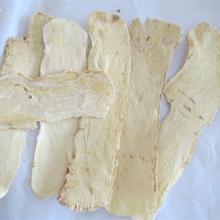 top  Astragalus   Root 