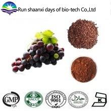 ISO Factory Supply Grape Seed Extract 95% OPC