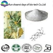 ISO Factory Supply Natural Loquat Leaf Extract Powder 98% Ursolic Acid