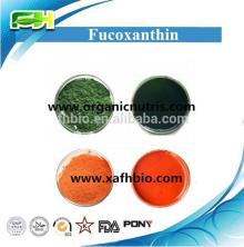 Brown Seaweed Extract 1%-20% Fucoxanthin