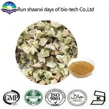 ISO Factory Supply Natural  Tribulus  Terrestris 90% Saponin  Extract   Powder 