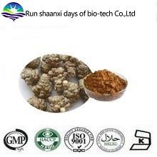 ISO Factory Supply Panax Notoginseng Root Extract Powder 85% Notoginsenosides