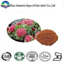 ISO Factory Supply Natural Rhodiola Rosea Extract 3% Rosavins 1% Salidroside