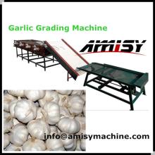 Garlic Sorting Production Line