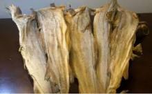 Stock Fish