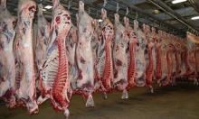 Frozen Halal Beef, Goat , Frozen Sheep Meat