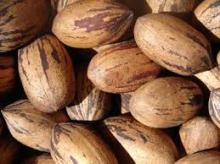  Pecan   Nuts 