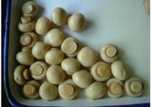 Mushrooms