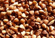 Buckwheat