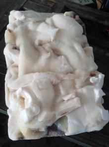 frozen giant squid neck( Dosidicus Gigas)