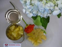 Tinned Can Pieces Pineapple Sweet in Syrup for bakery