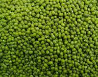 Hight Quality Green Mung Beans - Sprouting new crop