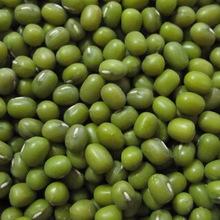 Green Mung Beans Market Price, Whole Bean