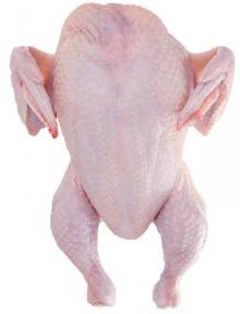 HALAL FROZEN WHOLE CHICKEN, FROZEN CHICKEN PAWS FROZEN PROCESSED CHICKEN FEET.