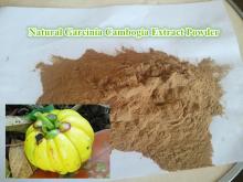 Garcinia Cambogia Extract Powder HCA Hydroxycitric Acid