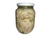 Salty White  Oyster   Mushroom 