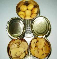 Canned Salty  Champignon   Mushroom  preserved
