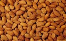 brown shelled and in shelled Almonds