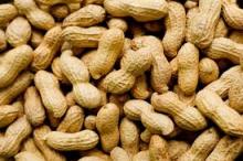 peeled and inshelled Peanut for sale