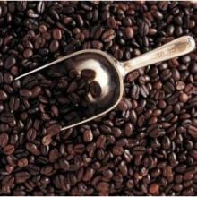 Organic  Roasted   Arabica   Coffee  Bean