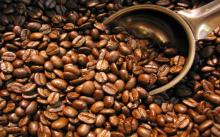 Organic arabica roasted coffee bean,Good quality