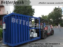 Vegetables & Fruits  Vacuum   cooling   machine 