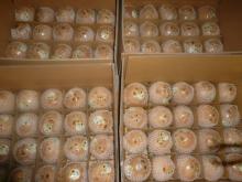 Dry Coconut