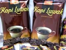 Coffee luwak robusta