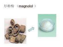 Magnolol,Honokiol , Magnolia Bark Extract powder,CAS No:528-43-8
