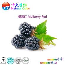 natural colour mulberry red food additives pigment
