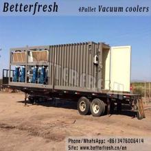 Dongguan Betterfresh cooling Vacuum Pre Coolers precooling machine for vegetables & fruits &food
