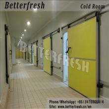 Dongguan betterfresh food processing field  Cold  room Vegetable  Storage   Cold   storage 