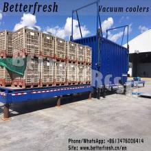 Dongguan Betterfresh Vacuum Pre Coolers precooling machine for vegetables & fruits &food