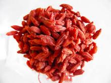 top quality supply goji berry from China