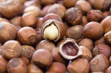 Organic Natural Hazelnut
