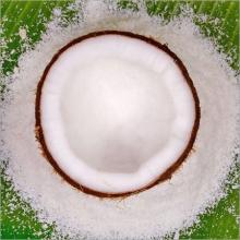 DESICCATED COCONUT POWDER, FINE AND MEDIUM GRADE, HIGH FAT