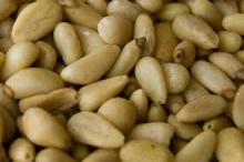  Pine  Nut