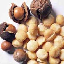  Macadamia   nut s