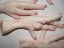 Processed Frozen Chicken Feet ( Grade A)